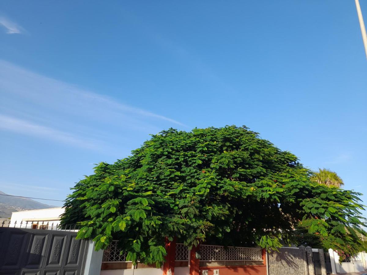 Tenerife Homestay San Miguel de Abona Exterior foto